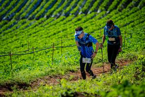 BIB: 2780
                            <button type="button" onclick="openModal(19161988)" class="btn btn-primary btn-sm float-right btn-popup" data-toggle="modal" data-target=".modal-high-quality">
                        <i class="fas fa-shopping-cart"></i> Add to Cart
                    </button>
                                            <button type="button" onclick="isThisMe(19161988, true)" class="btn btn-success btn-sm float-right btn-popup btn-isme hidden" data-toggle="tooltip" data-placement="bottom" title="นี่คือรูปของคุณใช่ไหม คลิกที่นี่เพื่อเอาเข้าอัลบั้ม">
                        <i class="fas fa-plus"></i> Add to album
                    </button>
                    <button type="button" onclick="isThisMe(19161988, false)" class="btn btn-warning btn-sm float-right btn-popup btn-isnotme hidden">
                        <i class="fas fa-ban"></i> Remove from album
                    </button>